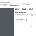 SCHWALBE Black Mollie Wheels - Afbeelding 1