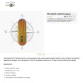 Picobello akoestisch en tactiel kompas ST100755 - Afbeelding 1
