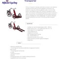 NIJLAND Sunny Transporter voor manuele rolstoel elektrische trapondersteuning mogelijk - Afbeelding 2