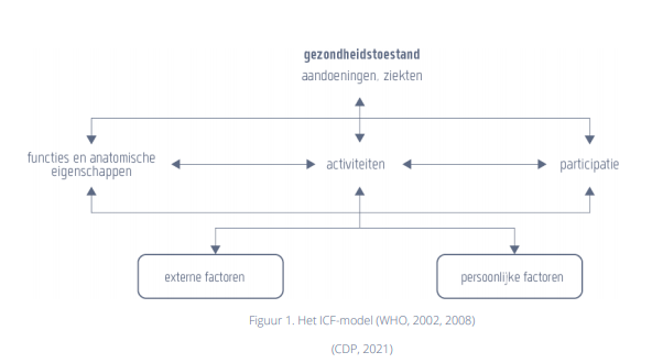 Het ICF model