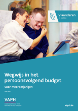 cover  van de brochure Wegwijs in het persoonsvolgend budget met foto van 2 bewoners met een mentale handicap tijdens bezigheid in dagcentrum